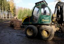 Po řediteli České pošty se poroučí i ředitel Lesů ČR Lesy_CR