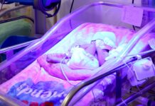 Války, genocidy, živelné pohromy. Utrpení roku 2025 ve fotografiích utrpeni