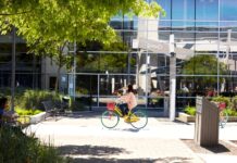 Výnosy vlastníka Googlu, Androidu či YouTube překonaly 8 bilionů korun youtube