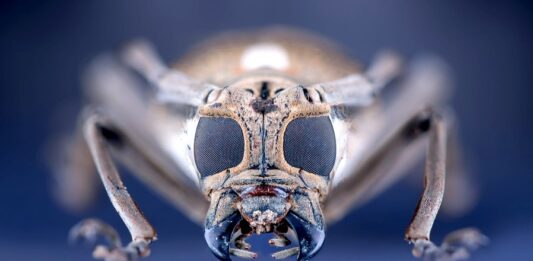 Thermo_fisher_Scientific