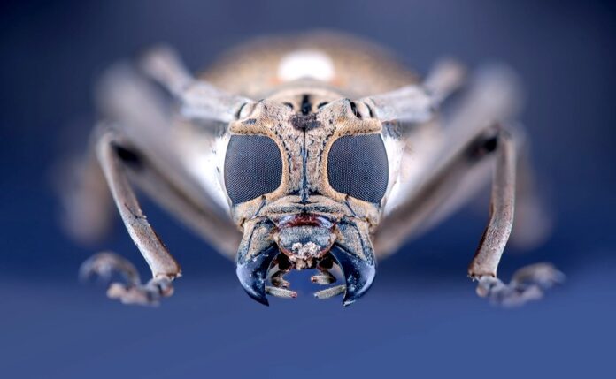 Thermo_fisher_Scientific