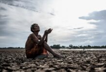 Cukr, káva, kakao: Silnější El Niño znovu šroubuje jejich ceny