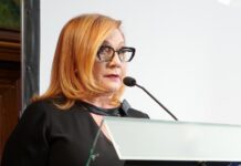 Schillerová: Pavel vetoval zákon, aniž by se jí na něj i jen zeptal zakon