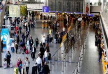 Komáři zavlečení turisty na letiště ve Frankfurtu opět zabíjeli komari